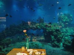 -海棠湾洲际-涛·海底餐厅·美人鱼·自助餐·海底隧道