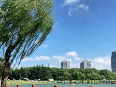 -黄兴公园