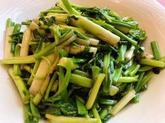 清炒水芹-复旦大学本部-食堂