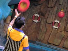 -烟台海昌鲸鲨海洋公园