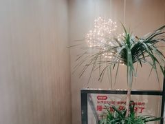 -牙博士口腔品牌连锁(昆山城区店)