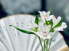 -淮扬府·游园京梦(中粮广场店)
