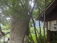 -八卦田遗址公园