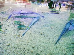 -鸿通城购物中心