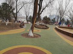 -莲花池公园