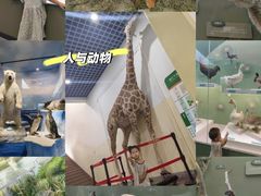 -国家自然博物馆