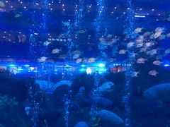 -成都浩海立方海洋公园