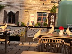 -华谊兄弟（长沙）电影小镇