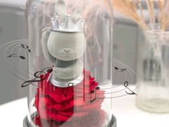 -ROSEONLY诺誓(广州K11店)