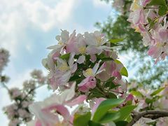 -北京西山国家森林公园