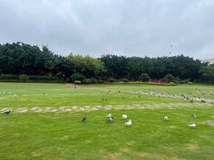 -白鹭洲公园