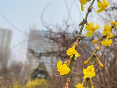 -月坛公园
