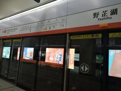 -野芷湖(地铁站)