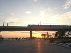 -宝安西湾红树林湿地公园