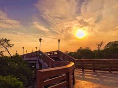 -宝安西湾红树林湿地公园