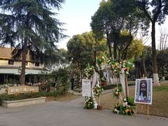 -重庆市江北嘴中央商务区中央公园