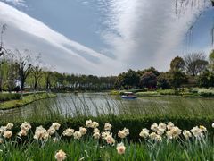 -上海鲜花港