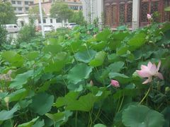 -沔阳会馆(沔街店)