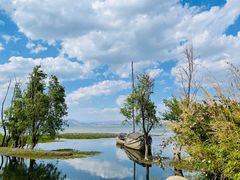 -洱海月湿地公园