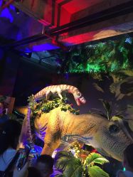 点击看大图 -恐龙探索乐园(磁器口店)