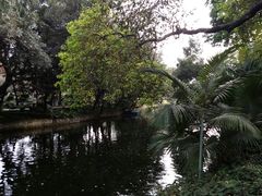 -晓港公园