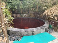 -仁爱团泊湖温泉中心