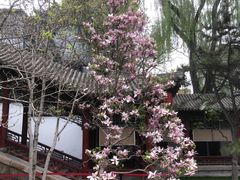 -碑林公园