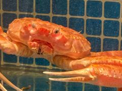 -隐炉和牛烧肉店(群力店)