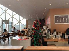 -星巴克(深圳音乐厅店)