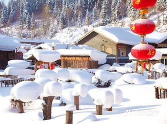 想去雪乡玩儿的朋友,成熟经验,自己去哈尔滨找酒店住下