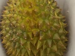 -西郊国际农产品交易中心