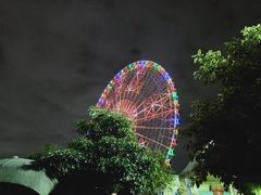 -凤岭儿童公园