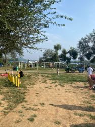 -浅山蜜塘奇妙乐园·亲子营地