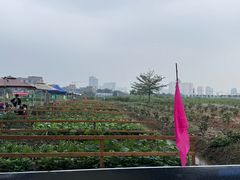 -伟记牛蹄(道滘店)