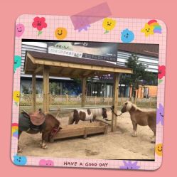 -萌宠亲子动物乐园(槐房万达店)