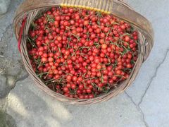 -崂山风景区-大河东游客中心