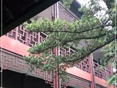 -乌镇东栅景区