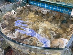 -仙螺岛海鲜自助餐厅(总店)