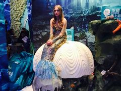 -东浩兰生上海世博展览馆