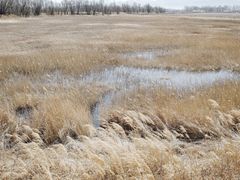 -野鸭湖国家湿地公园