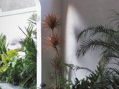 -漫笙舍Manse·咖啡·民宿