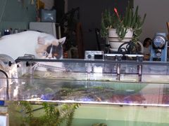 -平行世界·猫咖(首经贸店)