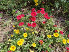 -人民公园(罗湖区)