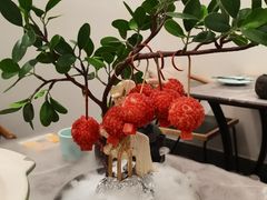 -奔跑吧陕菜·盛世长安(民乐园万达店)