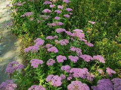 -野鸭湖国家湿地公园