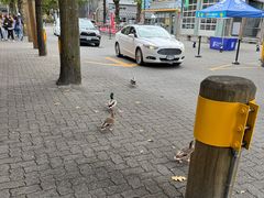 -固兰湖岛