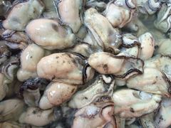 蚝乡农庄-蚝乡农庄(铁涌赤岸店)