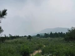 -北京鹫峰国家森林公园