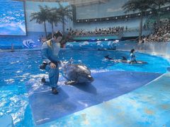-海合安成都极地海洋公园
