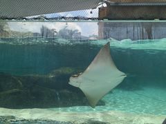 -新加坡水上探险乐园